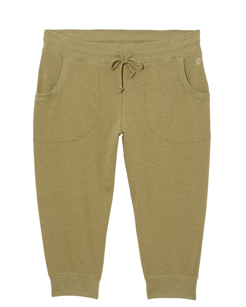 Front of plus size Centre Capri Jogger by Balance Collection | Dia&Co | dia_product_style_image_id:148338
